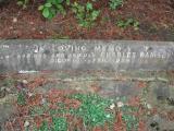 image of grave number 797531